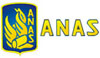visita il sito dell'ANAS